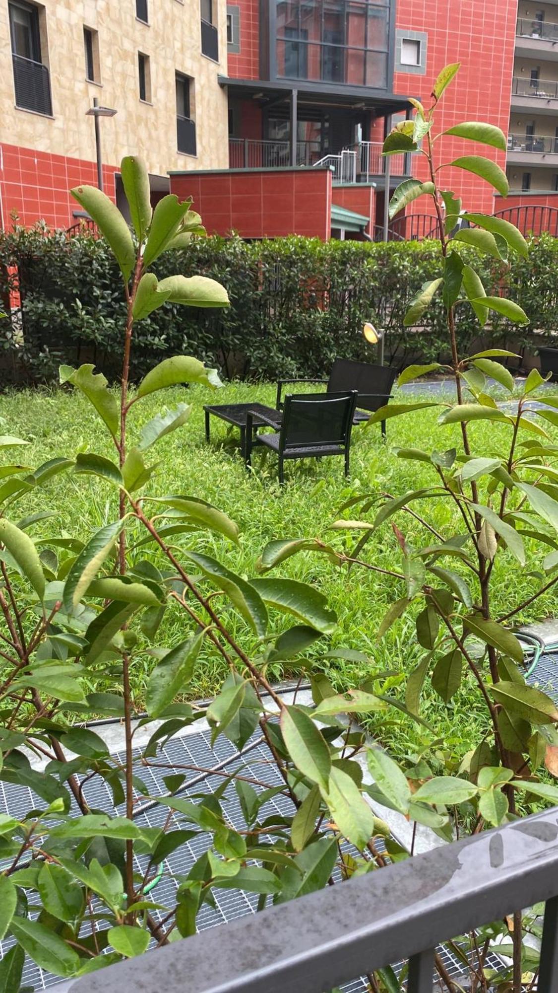 Cos54 - Exclusive Apartment With Garden In Milano Eksteriør bilde